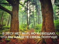 wi-fi в лесу